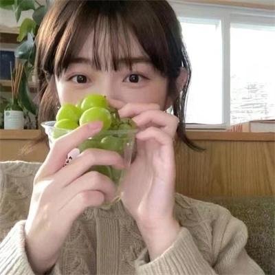小象寻母